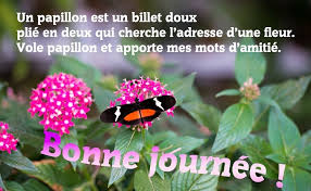 Bonjour images et phrases | topbonjour.com