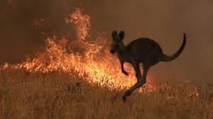 Las consecuencias de los incendios en Australia llegan a América Latina ›  Mundo › Granma - Órgano oficial del PCC