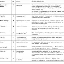301 mesa verde ct, chico, ca, 95927. Pdf Tree Pests In Bolivia Assessment And Significance