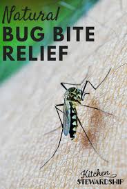 However, scratching can inflame the bites, increasing the itchiness and delaying recovery. Natural Home Remedies For Itchy Bug Bites