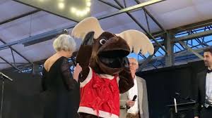 Maybe you would like to learn more about one of these? Vlodrop Weihnachtsshow Im Gartencenter Daniels Die Schonste Ausstellung Der Niederlande Youtube