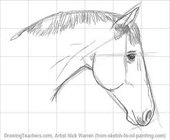Pin By James Smith On Animals Horse Drawings Horse Drawing Animal Drawings