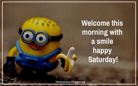 Being ignored is never … Saturday Funny Quotes That Will Make You Lol So Hard