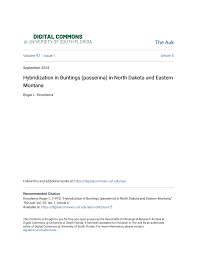 Image result for Passerina montana