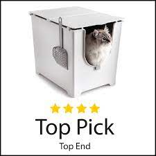 10 Best Cat Litter Boxes Hacks For Cats