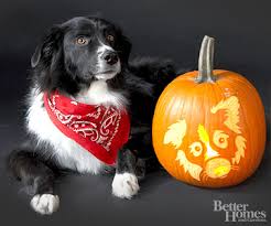 Download, print and use these free pumpkin carving stencils for your designs. Pet Pumpkins Woodland Veterinary Hospital