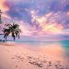 Download and use 8,000+ sunrise stock photos for free. 3