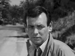 The Fugitive" Stroke of Genius (TV Episode 1966)