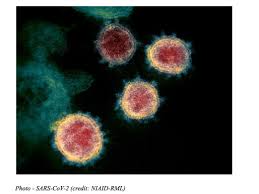 Map of countries by approval status. Vaccine Ip Under Microscope With Coronavirus Outbreak Sterne Kessler