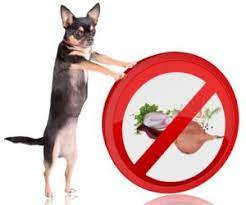 To us, this is delicious. Dog Tips For You