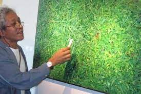 Maybe you would like to learn more about one of these? Lukisan Rumput