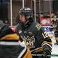 Saskatoon Blades at Brandon Wheat Kings event image