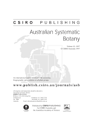 Image result for Trichoneura schlechteri