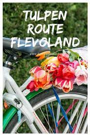 tulpenroute flevoland die langste tulpenroute der niederlande farbenprachtige tulpen in allen formen schmucken im fruhling sylt urlaub reisen abenteuerreisen