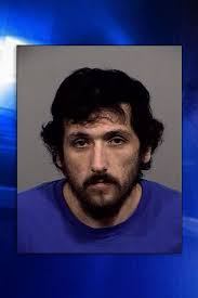 Standish man charged with animal cruelty for allegedly leaving kitten in  plastic tote