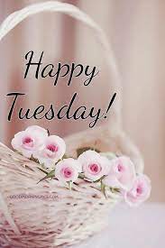 Good Morning Happy Tuesday Goodmorningpics Com Happy Tuesday Quotes Good Morning Tuesday Good Morning Happy