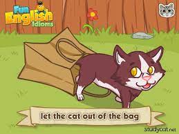 Let The Cat Out Of The Bag Fun English Idioms Explained By Studycat English Idioms Idioms Cats