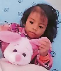 Custody battle over Amazon crash kids