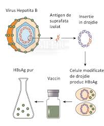 Vaccin hepatita b pret 2017. Vaccinul Antihepatita B