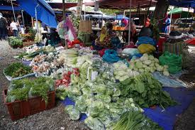 The best way to experience the melting pot of sabah is to visit the grand tamu besar held annually at kota belud. Tamu Besar Kota Belud Sabah