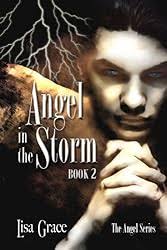 Amazon.com: Angel in the Storm, Book 2 (The Angel Series) eBook : Grace,  Lisa: Kindle Store