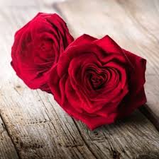 I'm not very creative and didn't put much, if any, thought into this buying decision. Pin By Anasf On Nature Rose Flower Wallpaper Love Rose Flower Beautiful Flowers Wallpapers