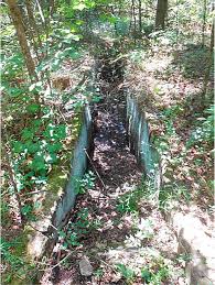 Image result for dip vat