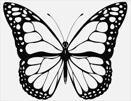 Sammlung von carina st • zuletzt aktualisiert: Ausmalbilder Schmetterling Mandala 1ausmalbilder Com
