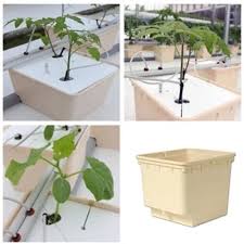 Dutch buckets allow tomato farmers to grow large vining varieties and train them up from the bucket. Dutch Bucket Grow Kits For Tomato Cucumber Peppers China Manufacturer