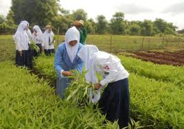 Agribisnis tanaman perkebunan (105) 3. Agribisnis Tanaman Pangan Ruang Lingkup Manfaat Persyaratan