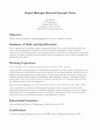 Read these tips and examples of resume with no work experience. Sample Real Estate Resume No Experience
