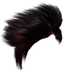 Top 200 Hair Png Download All New Cb Hairstyle Png For Picsart Editing Zip Free Download Hair Png Photoshop Backgrounds Free Photoshop Hair