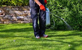 So to get rid of crickets you. Cricket Extermination Cost Cricket Pest Control