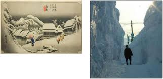 Snow Country Registered Alien