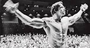 Who is arnold schwarzenegger's girlfriend heather milligan? Arnold Schwarzenegger S 12 Rules For Success Muscle Fitness