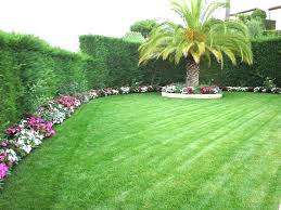 Jardin Paysager Avec Gazon Gazon En Plaque Arrosage Jardin Jardins