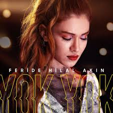 Feride Hilal Akın: albümler, şarkılar, konserler