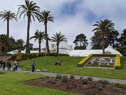 The conservatory of flowers is a greenhouse and botanical garden that houses a collection of rare and exotic plants in golden gate park, san. Conservatory Of Flowers By The Golden Gate Park Today Sanfrancisco