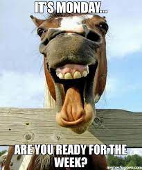 It S Monday Are You Ready For The Week Meme Funny Horse Face 40746 Memes Happen Funny Horse Face Laughing Horse Funny Horses The march to the next weekend is an arduous one we take on as a routine, but that.