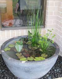Water Feature Pot Would Be Lovely By The Front Door With Some Fish In It Indoor Water Garden Small Water Gardens Ponds Backyard