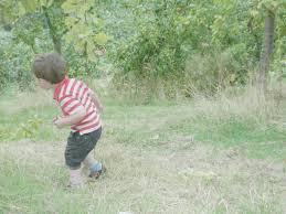 Since moving to hilltop farms last august, we've caught more swarms than we ever have before. Hilltop Farm Benfleet Fruit Picking In Essex Crafts On Sea