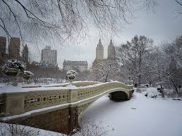 Obtenez les prévisions météo 7 jours les plus actuelles et les plus fiables en plus d'alertes d'orages, des rapports et de l'information pour city, avec météomédia. New York En Fevrier 2019 Les Evenements Phares De Cette Periode A Nyc