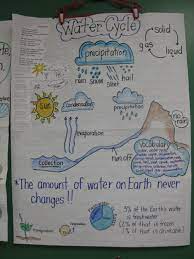 Water Cycle Worksheet Middle School Science Anchor Charts Science Chart Elementary Science