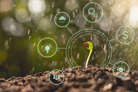 Smart Garden Der Garten Pflegt Sich Selbst Seedlings Smart Garden Soil