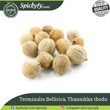 Image result for Terminalia bellirica