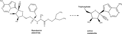 Remdesivir differs from the structure of adenosine because of a cyano group (cn) attached to the 1' carbon of the ribose sugar. Piece Of The Puzzle Remdesivir Disassembles The Multimeric Sars Cov 2 Rna Dependent Rna Polymerase Complex Springerlink