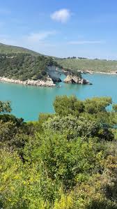 ❤️📌⛰️Dalla Ciminiera siamo arrivati alla “Salita del Dolore”. 👀Guarda chi abbiamo trovato! - di Giuseppe de Filippo/ Daniele Catalano #video #gargano #viral #fyp #puglia
