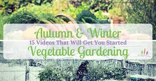 Fall garden head start 63 photos. 15 Videos That Will Get You Started Autumn Winter Vegetable Gardening
