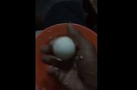 Cap rambutan pusa king 1121. Tiada Bendasing Plastik Ditemui Dalam Beras Cap Rambutan Semasa Mstar