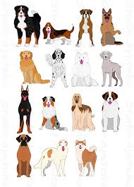 Small Dog Breeds Chart With Pictures Goldenacresdogs Com